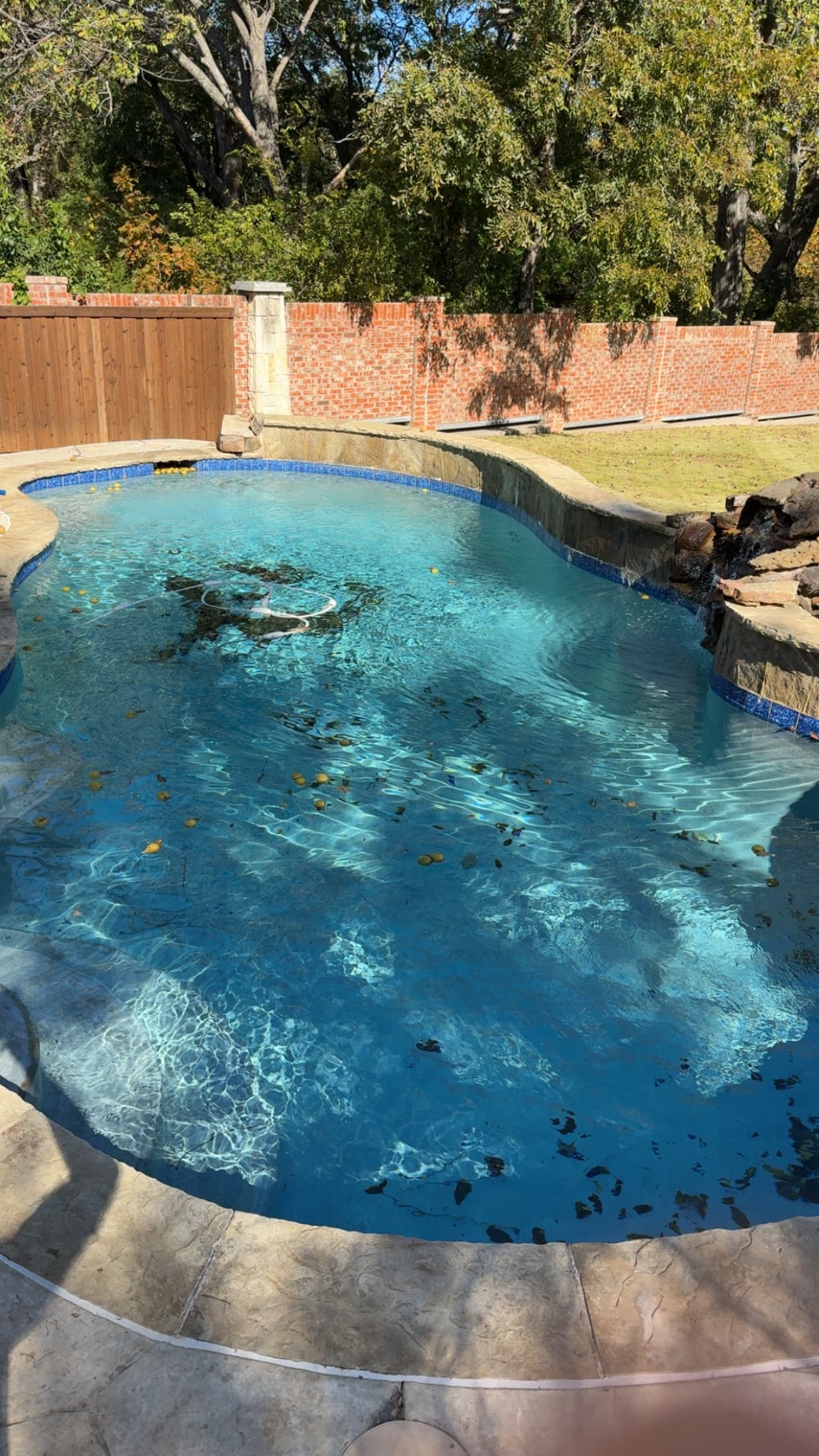 Pool before cleaning